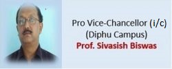 Pro Vice Chancellor (i/c)